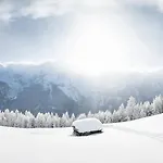 Ferienlodge Alpenkoenigin - Stubaital Apartament *