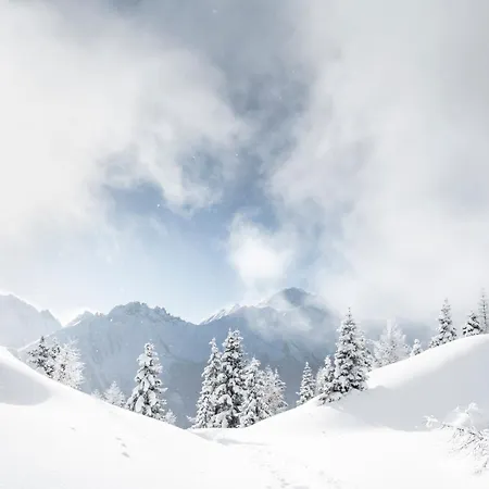 Appartamento Luxalpine Haus Alpenkoenigin Mit Naturpanorama Gefuellt Mit Heilsamer Zirbenluft