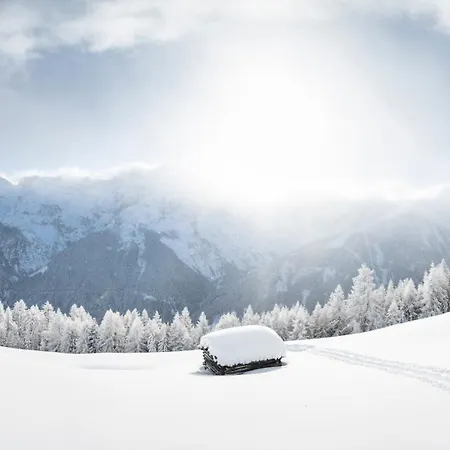 Luxalpine Haus Alpenkoenigin Mit Naturpanorama Inklusive Stubai Super Card Lejlighed *