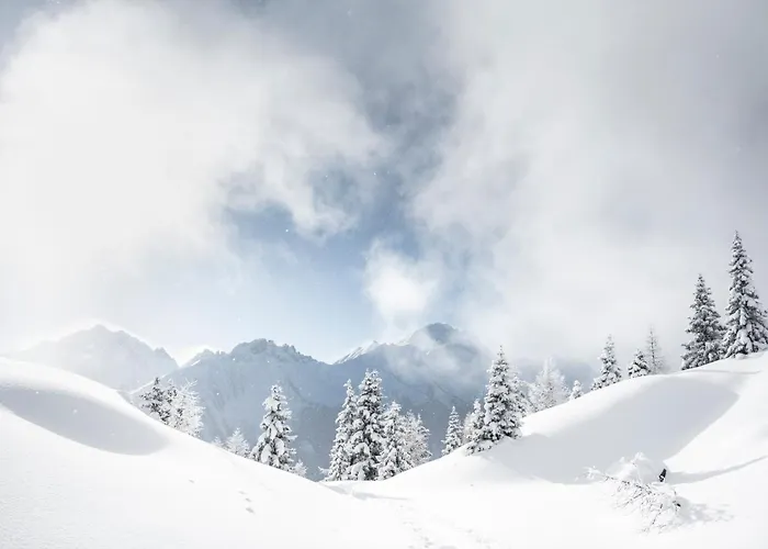 Lägenhet Ferienlodge Alpenkoenigin - Stubaital