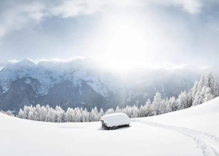 Ferienlodge Alpenkoenigin - Stubaital Appartement *